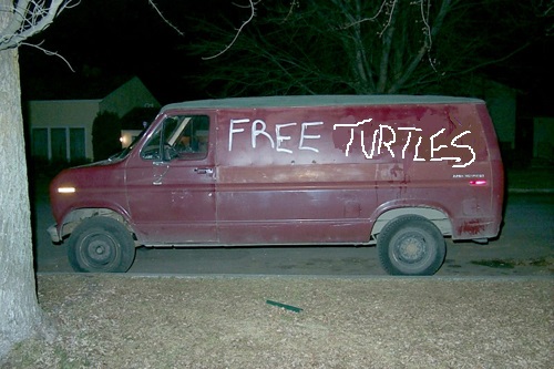 turtles free