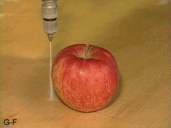 water-jet-apple
