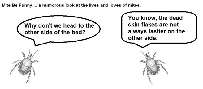 Mite Be Funny skin flakes