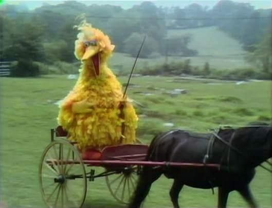 PBS Big Bird