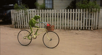 PBS Bike Kermit