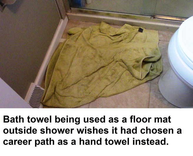 Towel Career