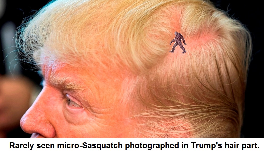 trump scalp crop with sasquatch