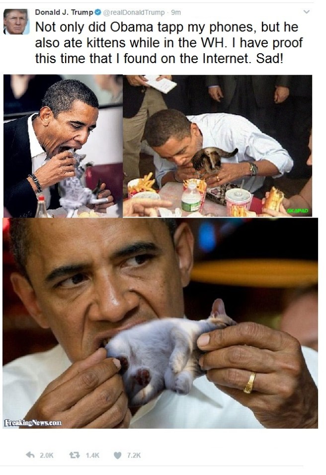 trump-tweet-kittens