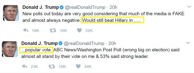 Trump Tweet Popular Vote