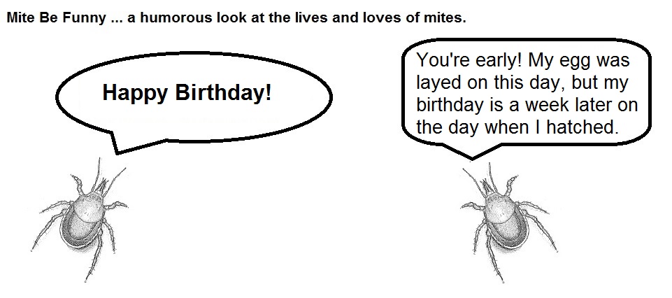 Mite Be Funny #11 Birthday