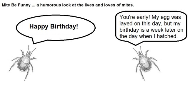 Mite Be Funny #11 Birthday