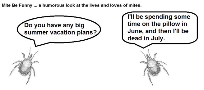 Mite Be Funny #12 Summer Vacation