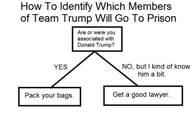 Trump Chart