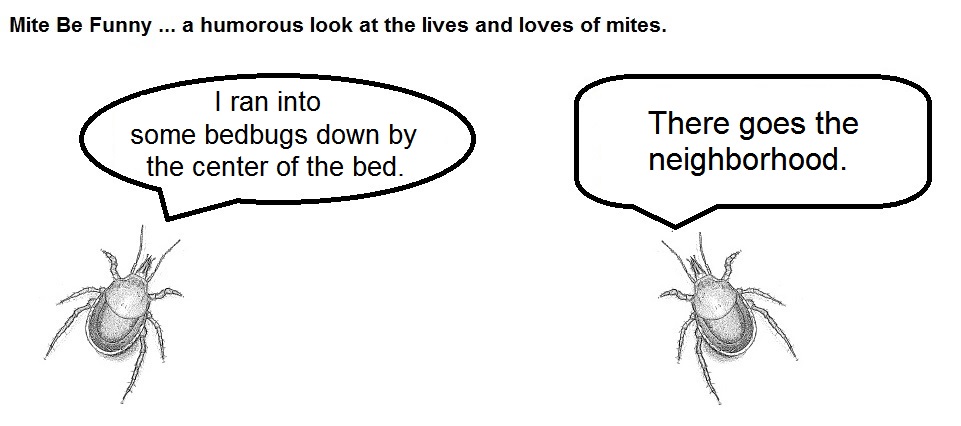 Mite Be Funny #13 Bedbugs