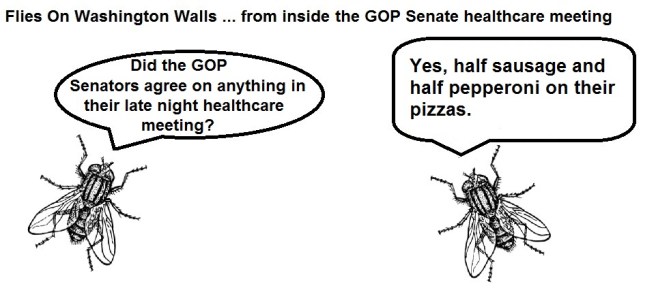 FOWW #12 GOP Healthcare