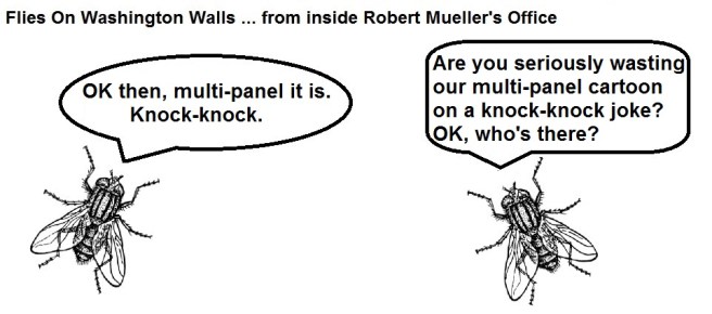 FOWW #15b US Marshal