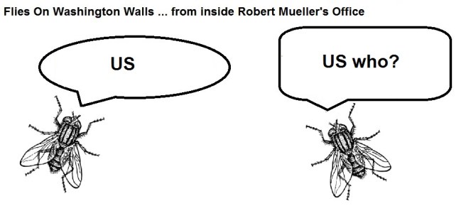 FOWW #15c US Marshal