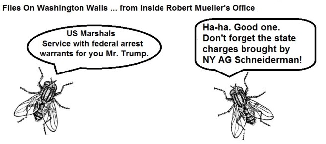 FOWW #15d US Marshal