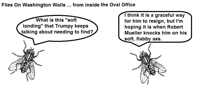 FOWW #6 Soft Landing