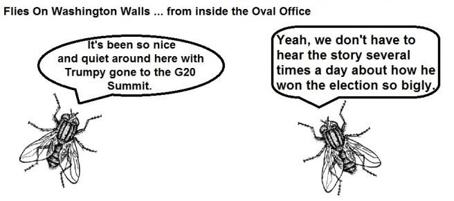 FOWW #7 Trump Traveling