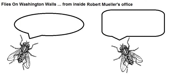 FOWW #9 Mueller Silence