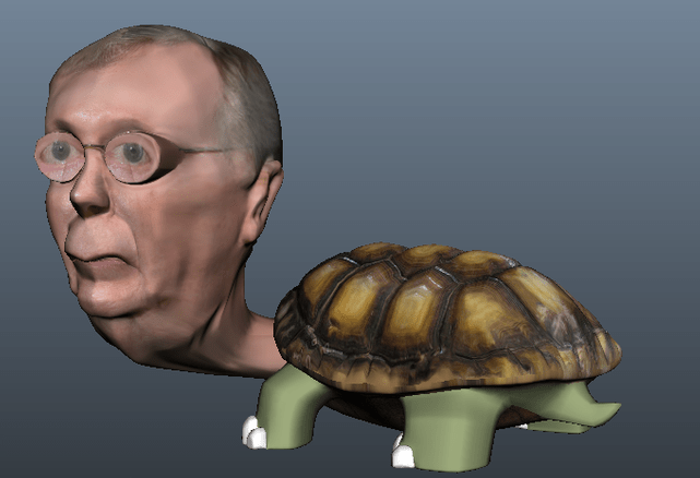 Mcconnell as turtle