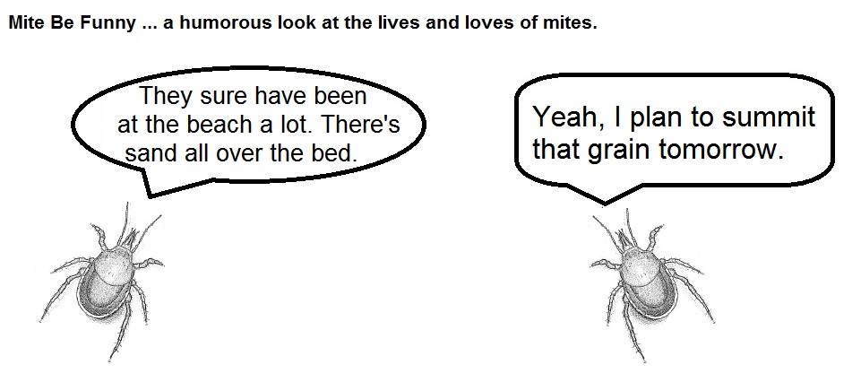 Mite Be Funny #17 Sand