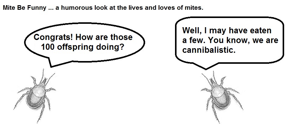 Mite Be Funny #21 100b