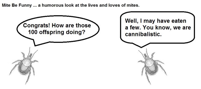 Mite Be Funny #21 100b