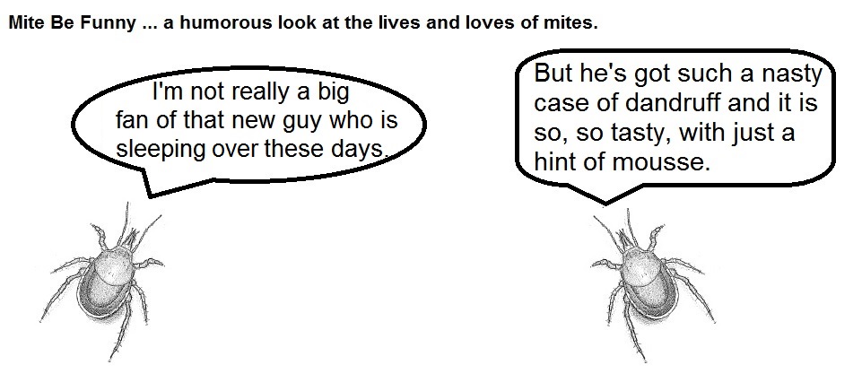 Mite Be Funny Dandruff