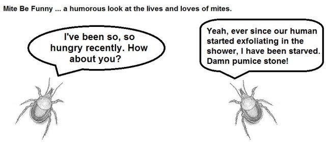 Mite Be Funny Pumice