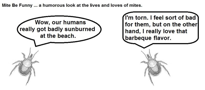 Mite Be Funny #26 Sunburn