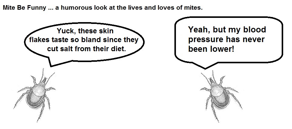 Mite Be Funny Blank #25 Salt