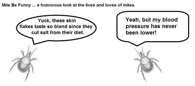 Mite Be Funny Blank #25 Salt