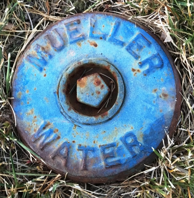Mueller Water2