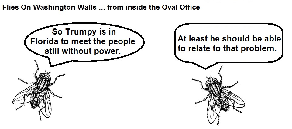 FOWW #37 Florida Power