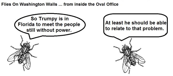 FOWW #37 Florida Power