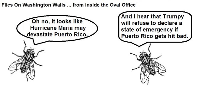 FOWW #41a Puerto Rico