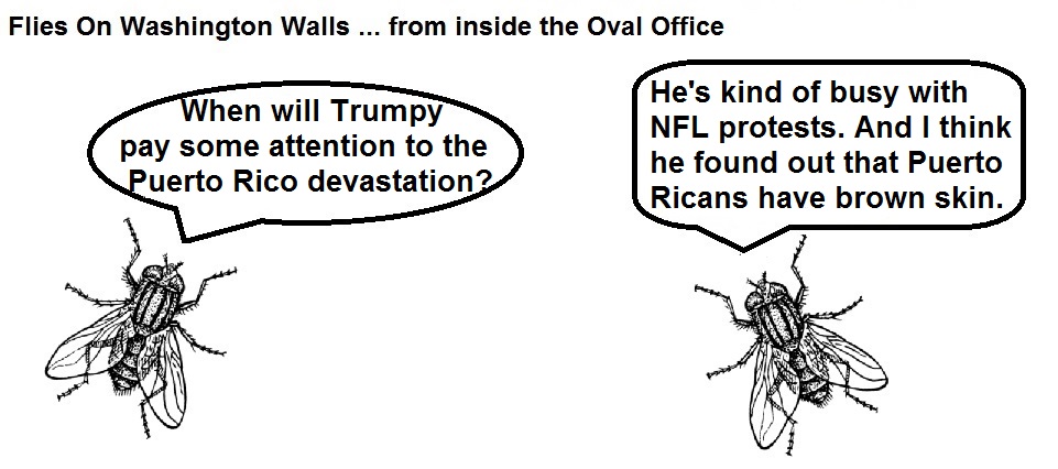 FOWW #43 Puerto Rico