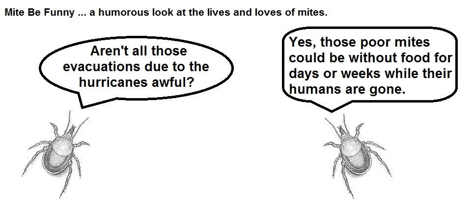 Mite Be Funny #29 Evacuations