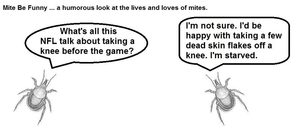 Mite Be Funny #31 NFL