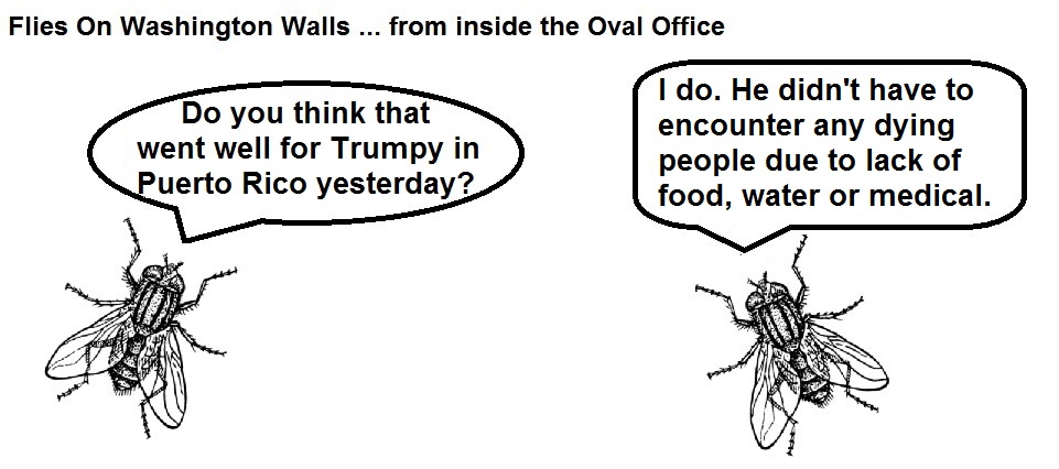 FOWW Blank #47a Puerto Rico Visit