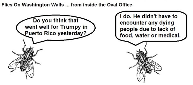 FOWW Blank #47a Puerto Rico Visit