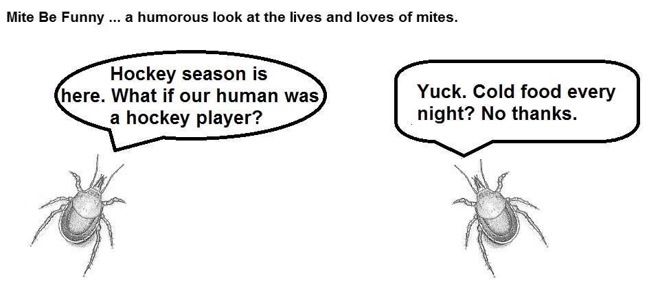 Mite Be Funny #34 Hockey