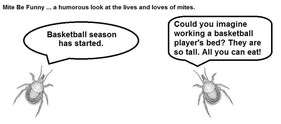 Mite Be Funny #36 Basketball