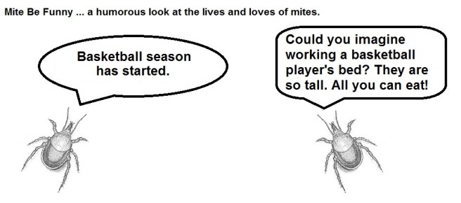 Mite Be Funny #36 Basketball