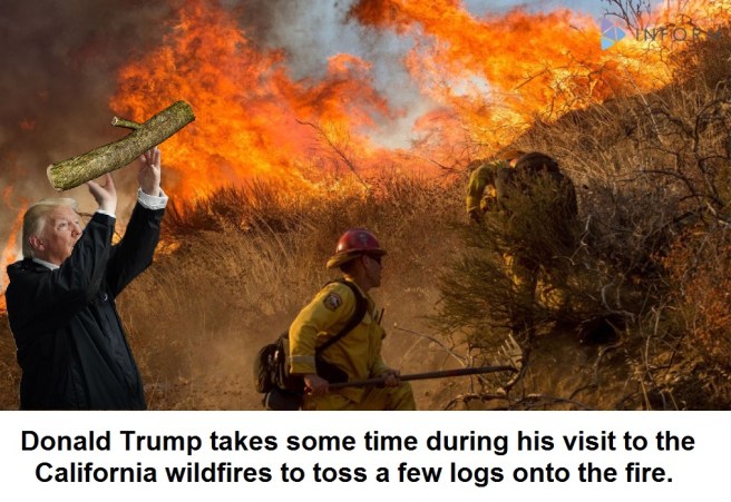 wildfire trump