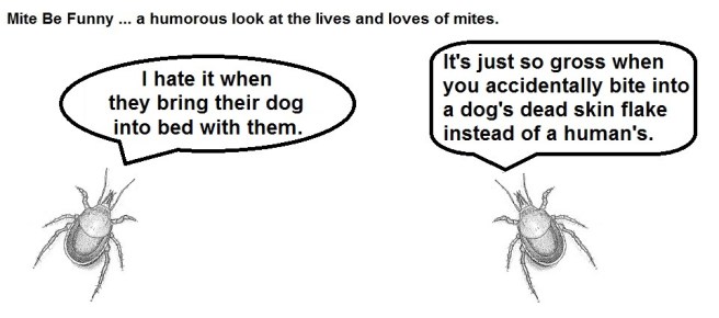 Mite Be Funny #38 Dog