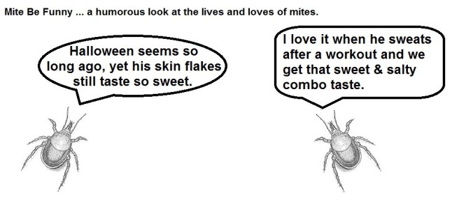 Mite Be Funny #40 Halloween Sweet &amp; Salty