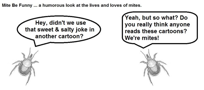 Mite Be Funny #40a Halloween Sweet &amp; Salty