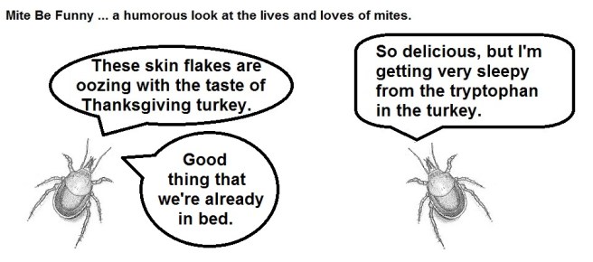 Mite Be Funny #42 Thanksgiving