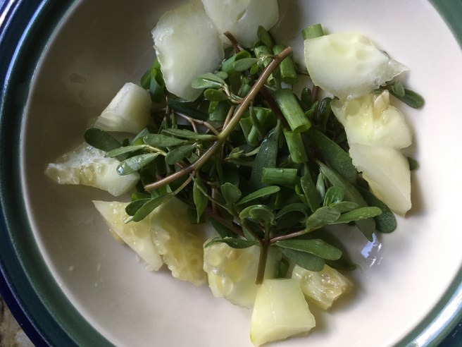 Purslane Salad