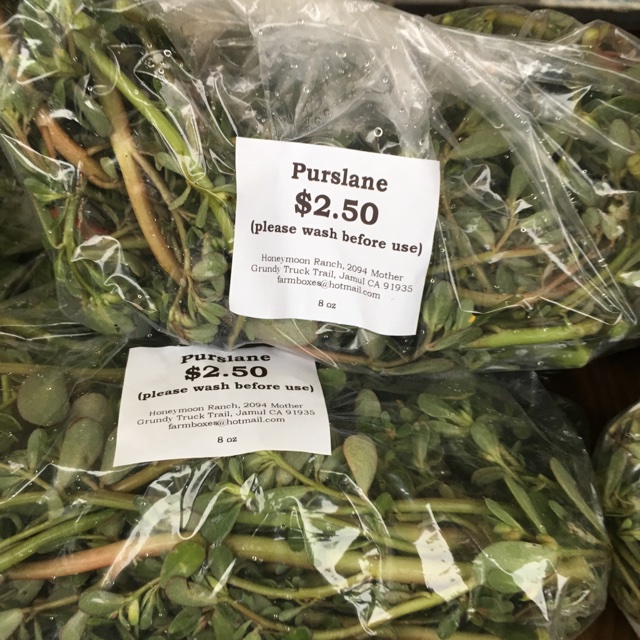 purslane sale