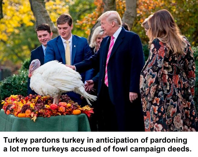 Image: US-POLITICS-TRUMP-TURKEY